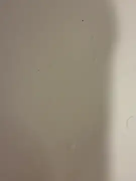 Serkan3356 online show from February 9, 2026, 12:31 pm