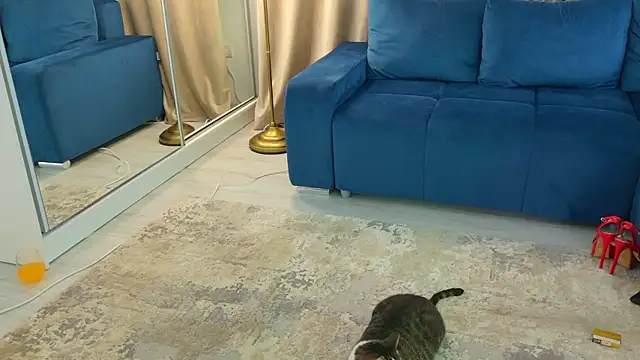 Snapshot of Addictive_T chatting on February 12, 2025, 4:54 am Addictive T online show from February 12, 2025, 4:54 am