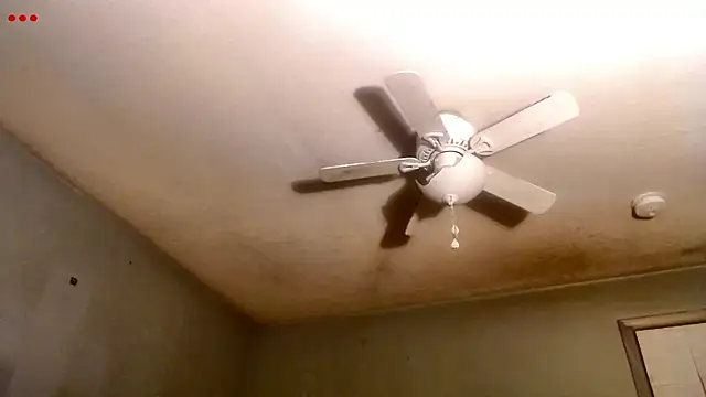 VanceFontaine online show from March 24, 2026, 1:21 am