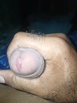 taylorWiiz online show from November 26, 2025, 6:31 pm