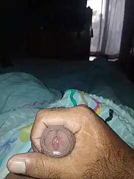 taylorWiiz online show from March 3, 2026, 12:55 pm