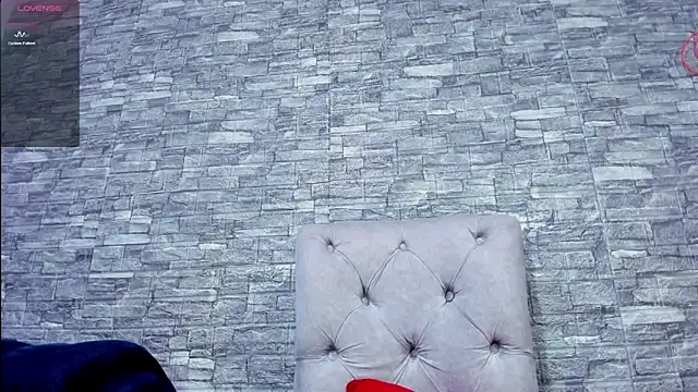 La indiia online show from December 12, 2024, 6:10 pm