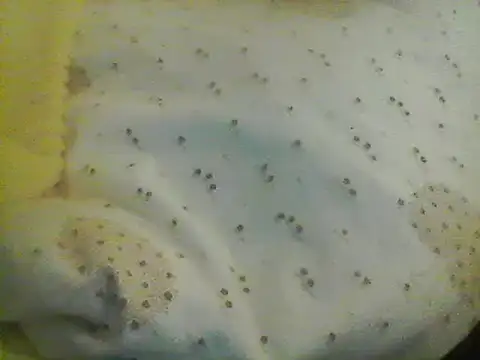 Snapshot of Bigpenis6y chatting on January 24, 2025, 5:21 am Bigpenis6y online show from January 24, 2025, 5:21 am