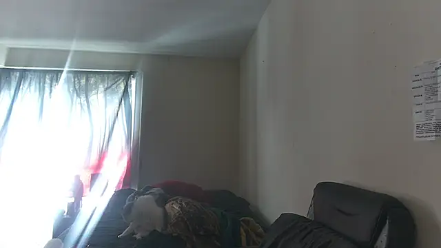 Snapshot of RickStone51 chatting on March 2, 2026, 7:21 pm RickStone51 online show from March 2, 2026, 7:21 pm