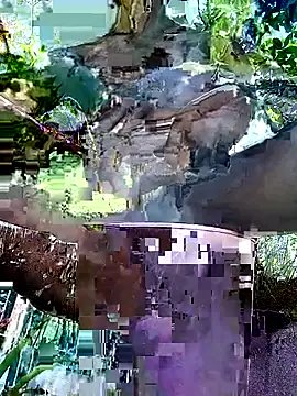 gwadaa9 online show from December 22, 2025, 6:16 pm