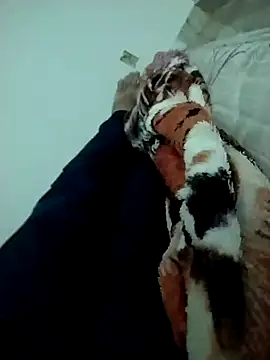 Snapshot of lm279 chatting on February 14, 2025, 3:47 pm lm279 online show from February 14, 2025, 3:47 pm