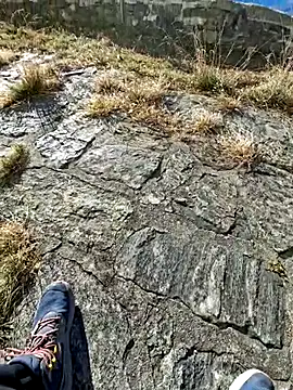 tony7567 online show from November 27, 2025, 12:51 pm