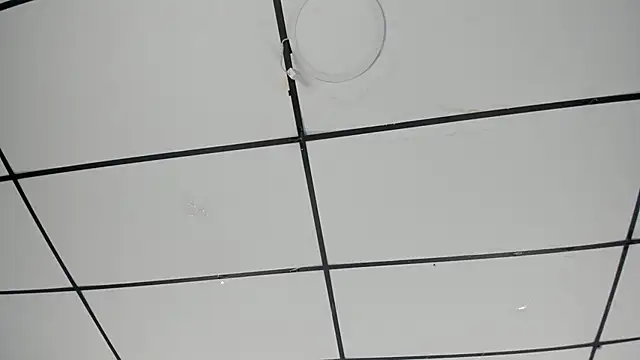 Sophia Lemos online show from October 18, 2025, 1:45 pm