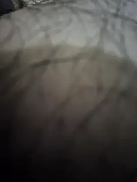 Snapshot of Piter1022 chatting on November 1, 2025, 12:18 pm Piter1022 online show from November 1, 2025, 12:18 pm