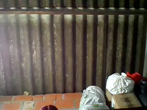 dafne19  online show from February 16, 2025, 9:37 am