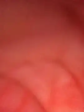 ambarlennoix online show from October 9, 2025, 8:01 am