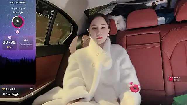 newwell online show from December 28, 2024, 1:17 pm