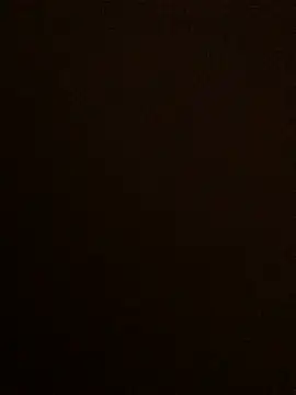 Snapshot of Lona_Lina chatting on January 19, 2025, 12:28 pm Lona Lina online show from January 19, 2025, 12:28 pm