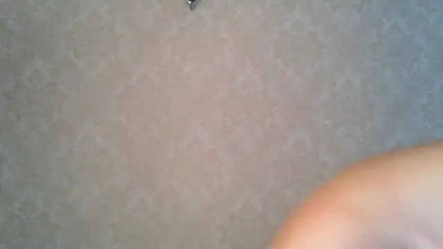 Kashtanka  online show from October 27, 2025, 7:56 am