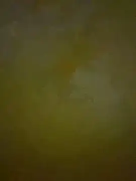 HeviZ online show from January 21, 2025, 8:21 pm