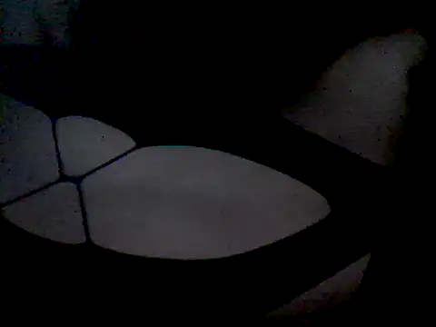 luniaitaliax3 online show from January 7, 2025, 12:13 am