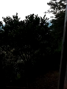 AuroraBon online show from December 10, 2024, 11:22 am