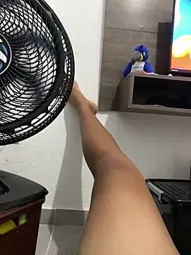 D4ivid online show from February 16, 2026, 4:52 am