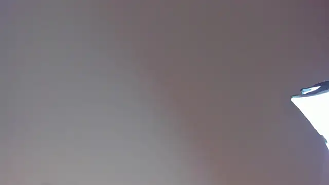 Laurent Williams online show from December 28, 2024, 10:02 pm