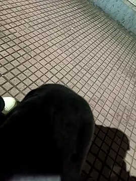 SurjS9 online show from September 20, 2025, 3:35 pm