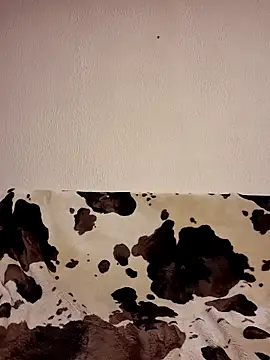 Zgodanilep online show from October 24, 2025, 6:59 pm