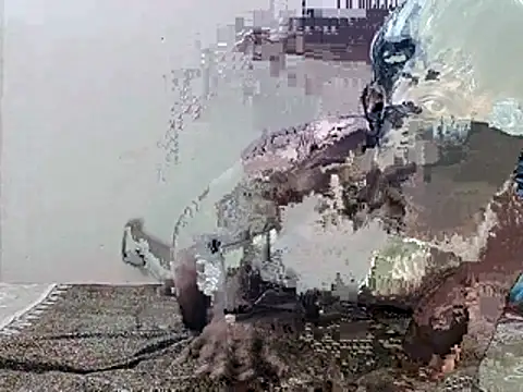 HunkyAriyan online show from November 11, 2025, 1:44 pm