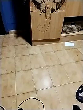 minitranca online show from November 10, 2025, 9:25 pm