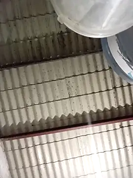 strip 1212 online show from March 8, 2026, 2:04 am