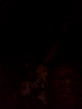 Hilkanna  online show from March 8, 2026, 9:29 pm