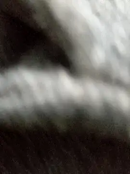 Hilkanna  online show from April 4, 2026, 7:33 pm