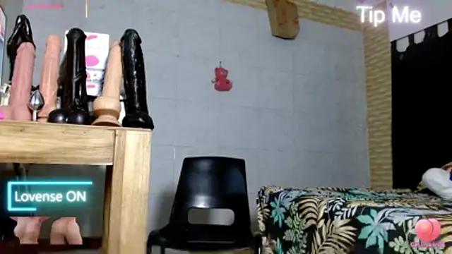 smithdara online show from February 17, 2026, 10:38 pm