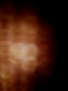 lavancaafiada online show from April 24, 2026, 4:15 am