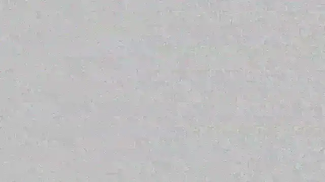 mara jackson  online show from March 14, 2025, 11:00 pm