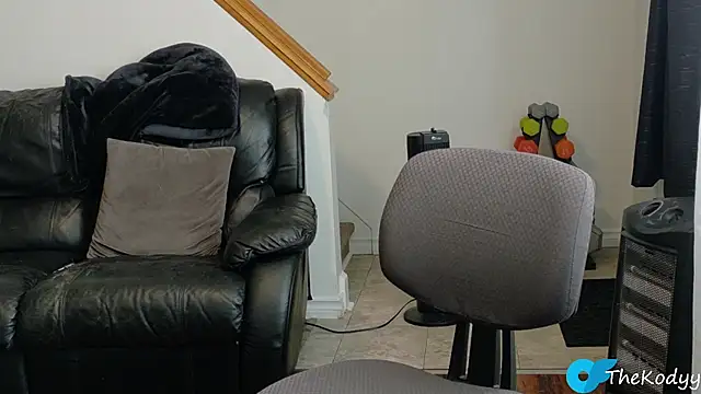 Snapshot of Thekodyy chatting on October 21, 2025, 4:41 pm Thekodyy online show from October 21, 2025, 4:41 pm