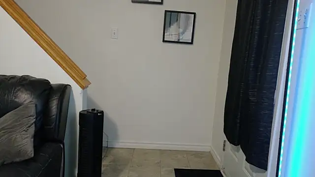 Snapshot of Thekodyy chatting on November 17, 2025, 12:33 pm Thekodyy online show from November 17, 2025, 12:33 pm