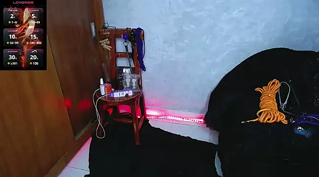 Snapshot of mysteery_katty_ chatting on December 16, 2024, 9:31 pm mysteery katty online show from December 16, 2024, 9:31 pm