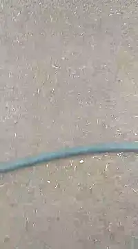 AuntyLover BhabhiLover  online show from February 7, 2025, 12:50 pm