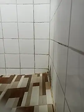 Snapshot of Elber24 chatting on December 4, 2025, 4:33 am Elber24 online show from December 4, 2025, 4:33 am