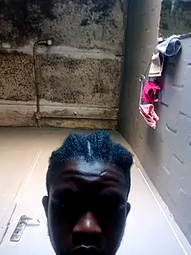 Xmint231 online show from February 17, 2026, 3:19 pm