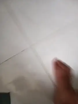 lobomisterioso13 online show from February 9, 2026, 12:09 pm