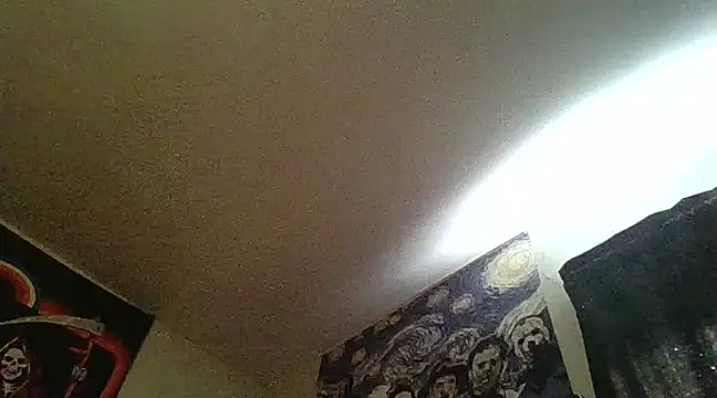 Snapshot of clitstitsandbongrips chatting on February 13, 2025, 9:17 pm clitstitsandbongrips online show from February 13, 2025, 9:17 pm