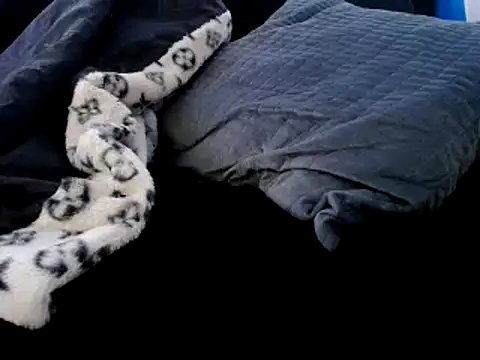 Niquitasparkles online show from December 23, 2024, 12:35 am