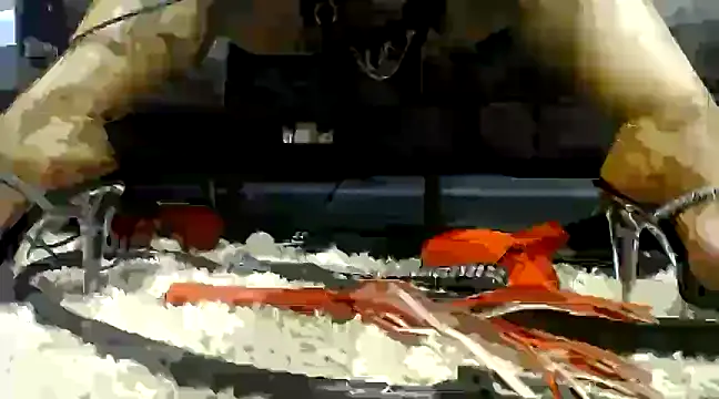 Niquitasparkles online show from February 4, 2025, 9:07 am