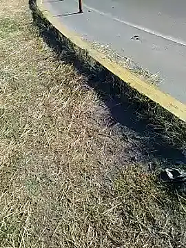 Alysson-- online show from January 20, 2025, 1:00 pm