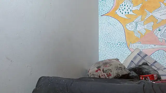 Snapshot of Party_trans chatting on February 14, 2025, 3:22 am Party trans online show from February 14, 2025, 3:22 am