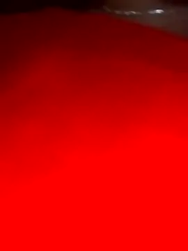 Snapshot of sara_pineros chatting on December 28, 2024, 12:04 am sara pineros online show from December 28, 2024, 12:04 am