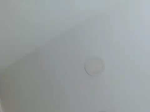 Snapshot of milfevha chatting on February 26, 2026, 2:38 pm milfevha online show from February 26, 2026, 2:38 pm