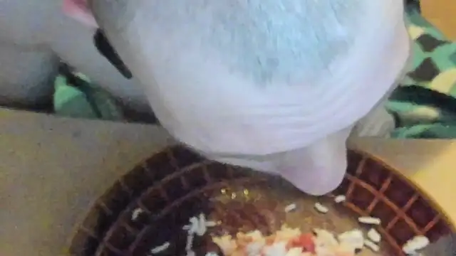 sexy264329 online show from March 7, 2025, 4:22 pm