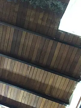 Snapshot of isacalejandroo chatting on January 25, 2025, 4:02 am isacalejandroo online show from January 25, 2025, 4:02 am