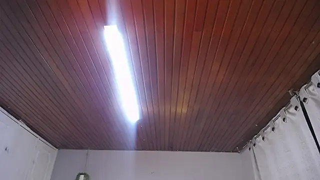 Scarllett BDSM online show from November 29, 2025, 5:10 am